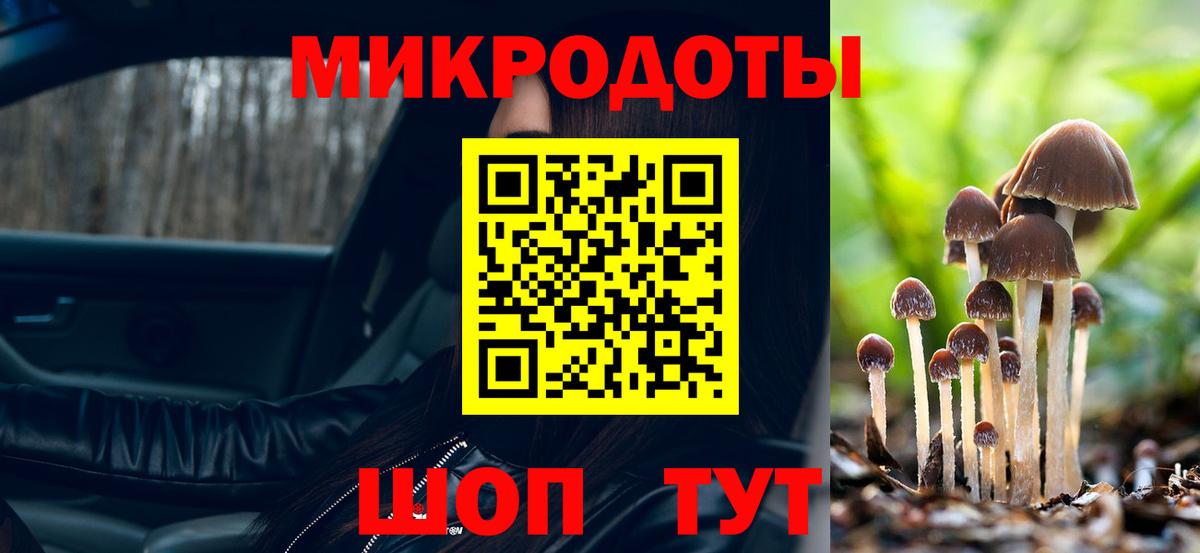 Каменка  Псилоцибиновые грибы Psilocybe  наркота  Вход с VPN  Галлюциногенные грибы GOLDEN TEACHER 