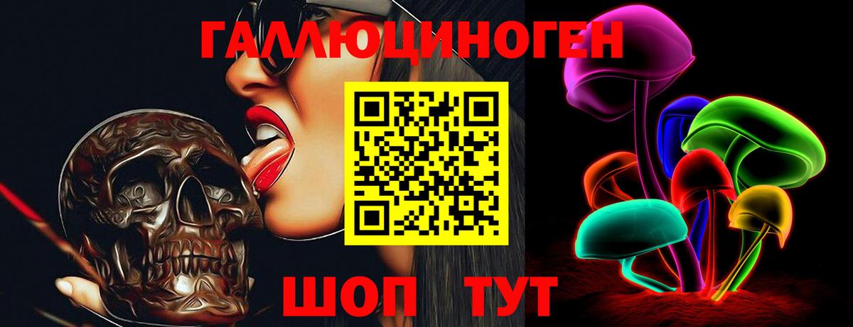 Псилоцибиновые грибы GOLDEN TEACHER Каменка